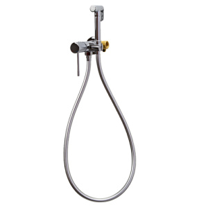 Гигиенический душ со смесителем AVS Seeme хром